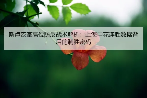 si-lu-ci-ji-gao-wei-fang-fan-zhan-shu-jie-xi-shang-hai-shen-hua-lian-sheng-shu-ju-bei-hou-de-zhi-sheng-mi-ma-2-150.jpg