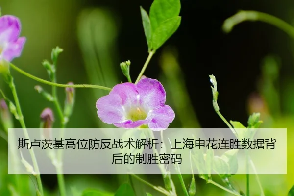 si-lu-ci-ji-gao-wei-fang-fan-zhan-shu-jie-xi-shang-hai-shen-hua-lian-sheng-shu-ju-bei-hou-de-zhi-sheng-mi-ma-3-655.jpg