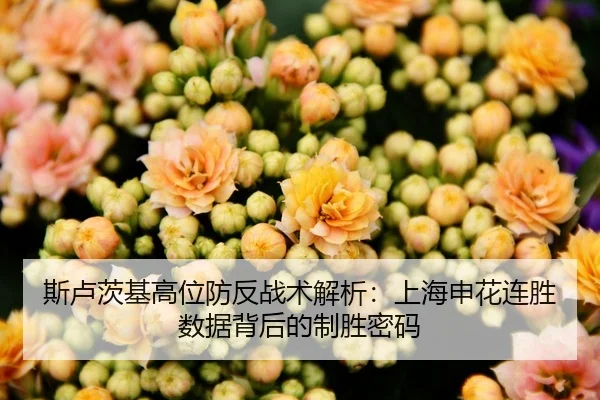 斯卢茨基高位防反战术解析：上海申花连胜数据背后的制胜密码