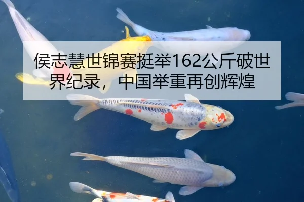 侯志慧世锦赛挺举162公斤破世界纪录，中国举重再创辉煌
