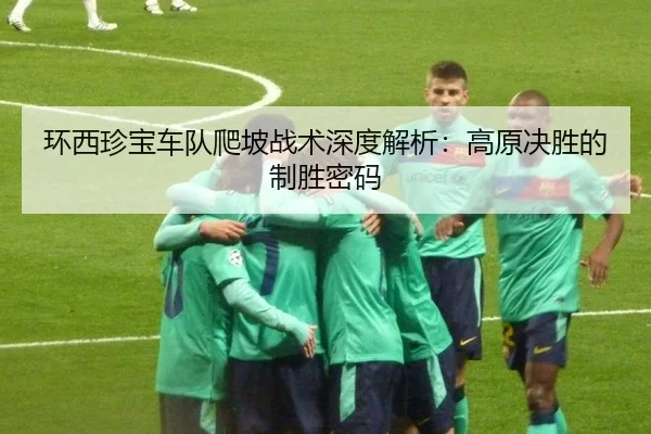 环西珍宝车队爬坡战术深度解析：高原决胜的制胜密码
