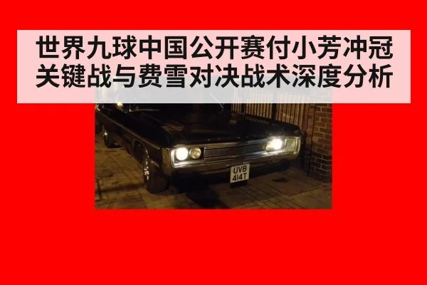 世界九球中国公开赛付小芳冲冠关键战与费雪对决战术深度分析